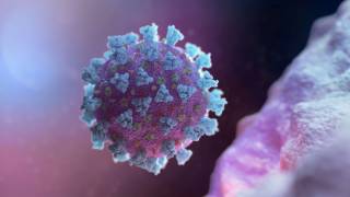 Британцы рассказали кое-что неожиданное о появлении коронавируса
