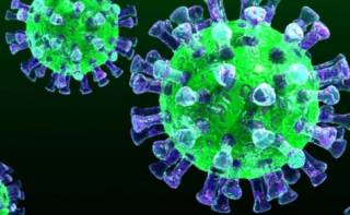 Ученые пугают людей новым коронавирусом в ближайшее десятилетие