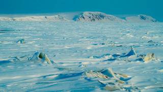 Таяние ледников может «выпустить на свободу» вирусы древних экосистем