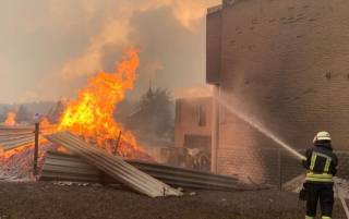 Лесные пожары на Луганщине забрали жизни пятерых человек