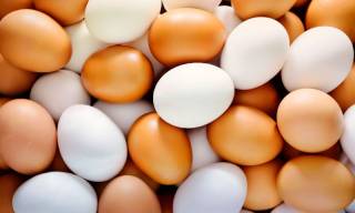 Испанский диетолог объяснил, почему так полезно есть яйца