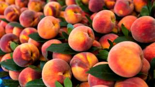 Биолог рассказал о небывалой пользе всем известных фруктов
