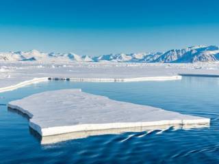 Ученые обнаружили «вечные» химикаты в холодных водах Арктики