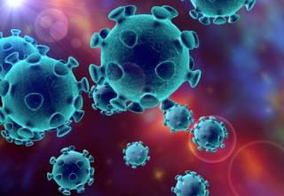 Найдена молекула, уничтожающая коронавирус