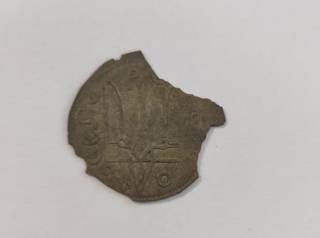 Археологи под Житомиром случайно раскопали клад уникальных монет