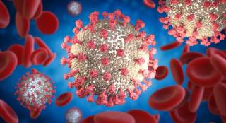 Вирусологи советуют менять стратегию в борьбе с коронавирусом: нужно им заражаться