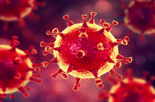 В США рассказали, что будет с пандемией коронавируса в ближайшие пять лет