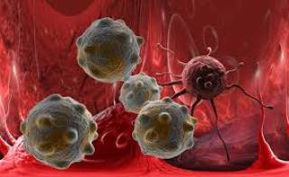 Ученые обнаружили новое «оружие» против онкологии