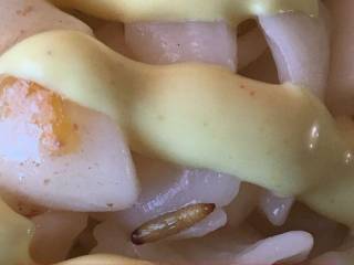 В Харькове курсантов кормят макаронами с червями