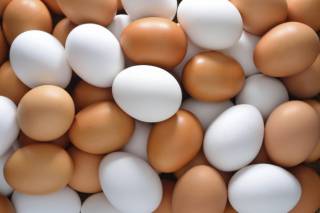 Испанский диетолог развеял миф о «разноцветных» яйцах