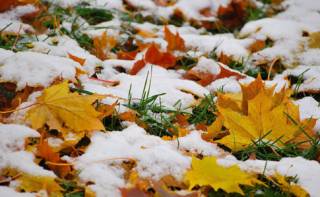 Киевлянам поведали о погоде на выходные: снегопад стихнет