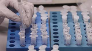 Израильские ученые сделали весомый прорыв в области лечения онкологии