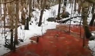 «Кровавая река» в России напугала соцсети