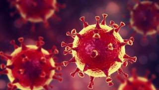 Люди, переболевшие коронавирусом, могут и дальше распространять инфекцию