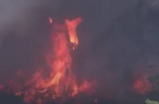 Опубликовано видео гигантских пожаров в Австралии