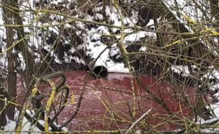 Появилось видео «кровавой реки» в Ивано-Франковской области