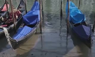 Появилось видео, как «пересыхает» Венеция