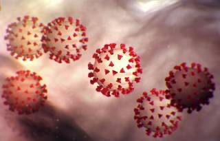 Медики дали неутешительный прогноз по «живучести» коронавируса в Украине