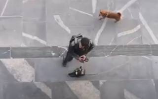 Появилось видео, как мужчина с бензопилой пошел на штурм парламента Словении