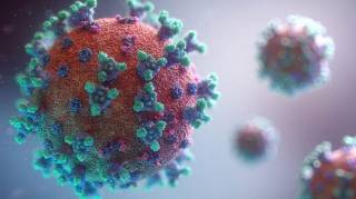 Стало известно, как долго переболевшие коронавирусом люди защищены от повторного заражения