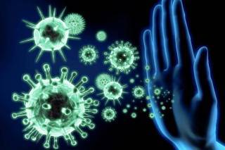 Названы новые сроки появления коллективного иммунитета от коронавируса