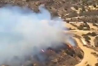 Опубликовано видео мощного лесного пожара на Кипре