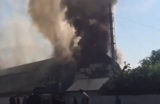 Опубликовано видео гигантского пожара на кроличьей ферме в Киевской области