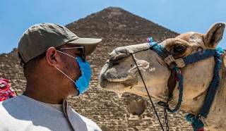 Что ждет туристов с фейковыми тестами в Египте