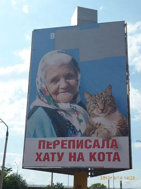 Баба и кот