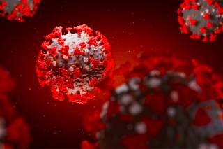 Британский профессор заявил, что коллективного иммунитета от коронавируса не будет