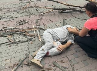 В Днепре упавшее дерево переломало ноги мужчине