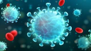 В ЮАР обнаружен новый штамм коронавируса