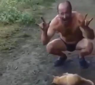 Живодер из Буковины забил кота до смерти и выложил видео в Сеть