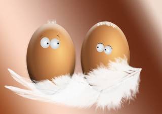 Всемирный день яйца: какой праздник отмечается 8 октября 2021 года