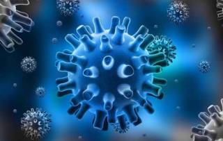 Як проводиться експрес-тест на коронавірус?