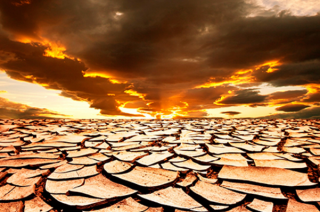 Человечеству грозит климатическая катастрофа, — Генсек ООН