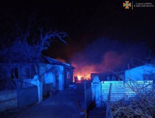 В Одесской области жертвами пожара стали сотни овец