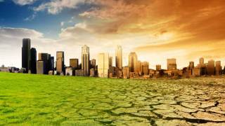 Всемирный день климата: какой праздник отмечается 8 декабря 2021 года