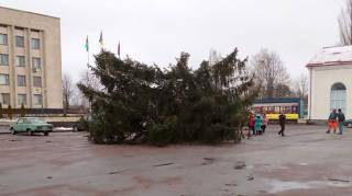 Эпичное падение новогодней елки на Житомирщине попало на видео