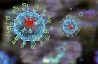 Распространение коронавируса в Украине снижается шестую неделю подряд, - МОЗ