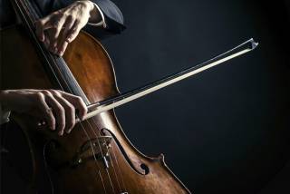 Международный день виолончели: какой праздник отмечается 29 декабря 2021 года