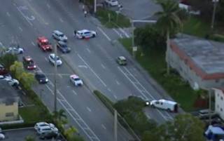 Во Флориде автомобиль протаранил толпу – погибли дети