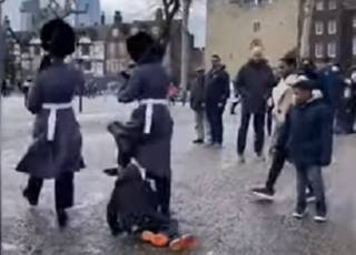 Появилось видео, как королевские гвардейцы едва не растоптали ребенка в Лондоне
