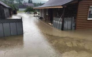 Наводнение на Закарпатье: спасатели рассказали о последствиях