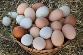 В борьбе с коронавирусом хотят использовать… куриные яйца
