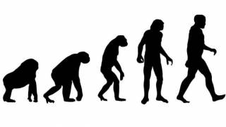 Ученые частично опровергли эволюционную теорию Дарвина