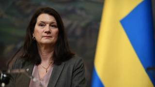 Хакерская атака на госсайты Украины не на шутку напугала шведов