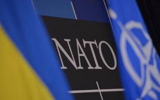 Харьковчанин попросился в НАТО, предлагая свою землю под военную базу
