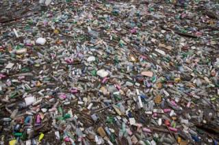 Минэкологии и «Слуги Народа» выступили против переработки отходов