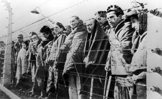 Международный день памяти жертв Холокоста: какая дата отмечается 27 января